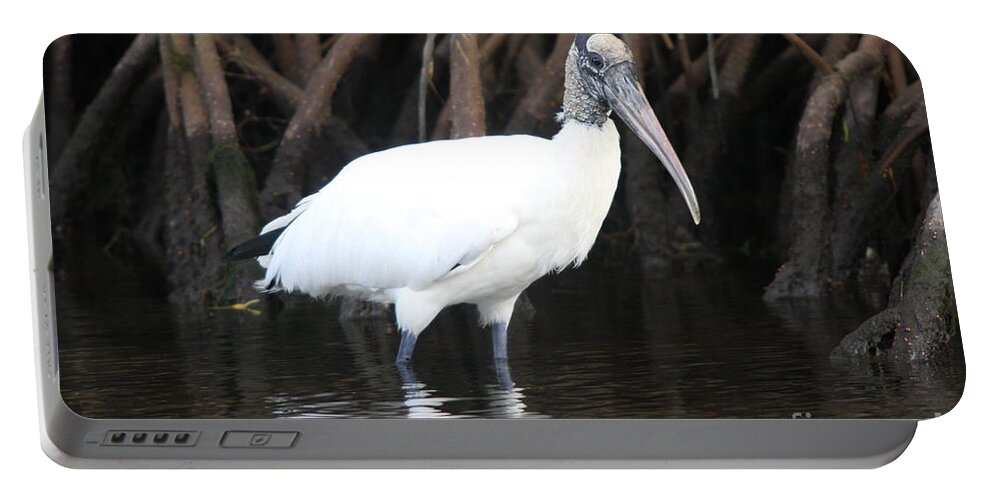Wood Stork Portable Battery Charger featuring the photograph Wood Stork in the swamp by Christiane Schulze Art And Photography