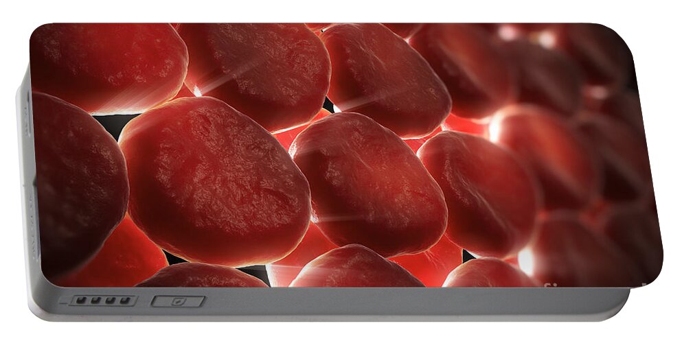 Erythrocytes Portable Battery Charger featuring the photograph Red Blood Cells #27 by Science Picture Co