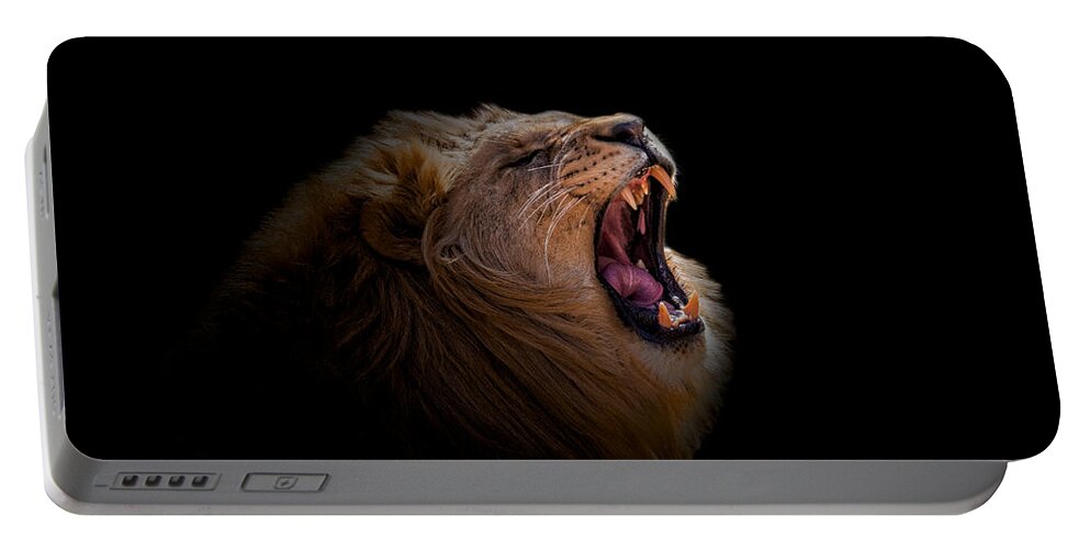 Africa Portable Battery Charger featuring the photograph African Lion #3 by Peter Lakomy