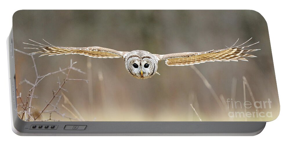 Barred Owl Portable Battery Charger featuring the photograph Barred Owl In Flight #5 by Scott Linstead