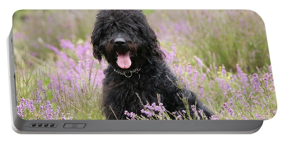 Labradoodle Portable Battery Charger featuring the photograph Black Labradoodle by John Daniels