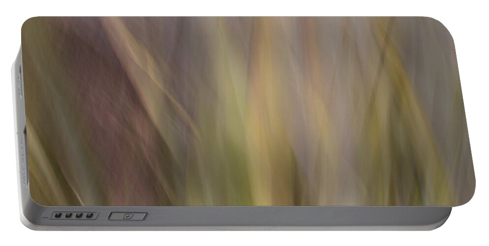 Motion Blur Portable Battery Charger featuring the photograph Blurscape #3 by Dayne Reast