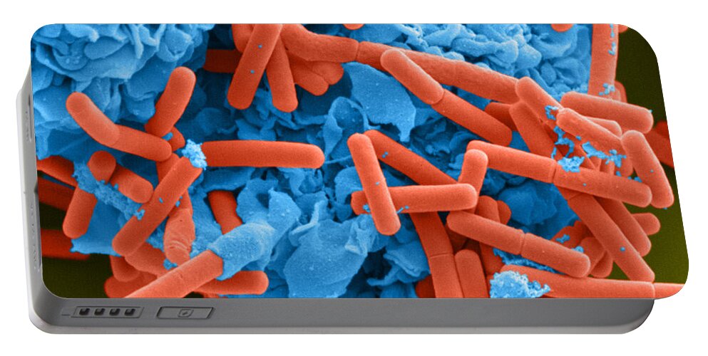 Science Portable Battery Charger featuring the photograph E. Coli And Macrophage Sem #3 by Science Source