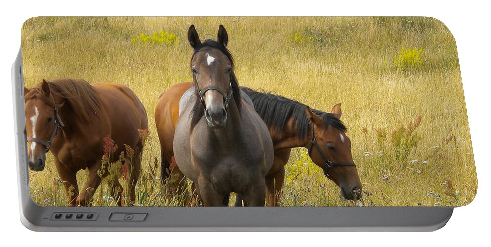 Colette Portable Battery Charger featuring the photograph 3 Free happy Horse Friends Joy on Samsoe Island Denmark by Colette V Hera Guggenheim