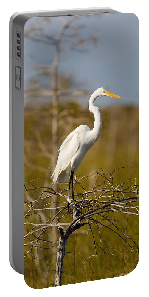 Egret Portable Battery Charger featuring the photograph Great White Egret #3 by Raul Rodriguez