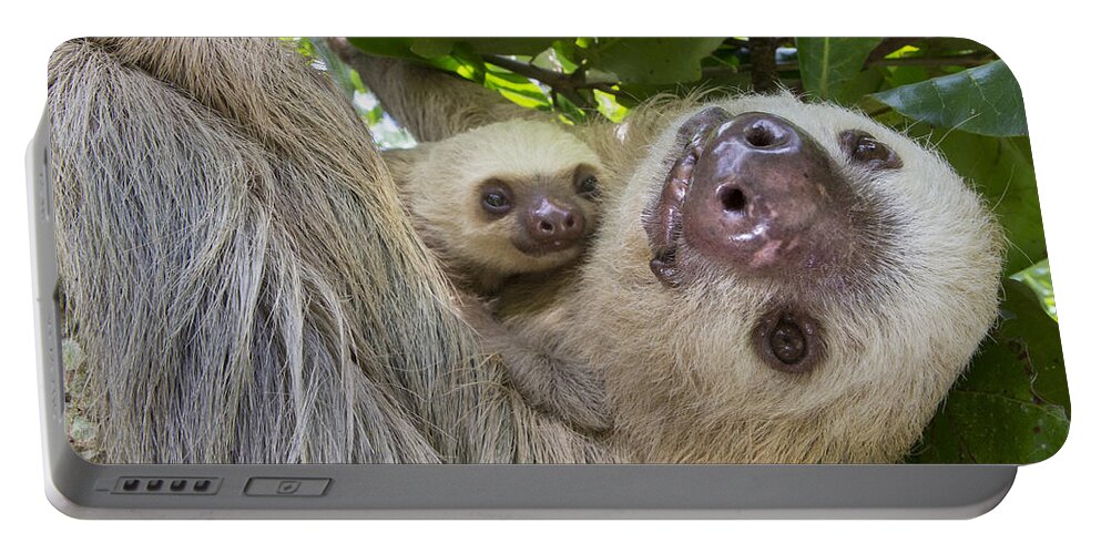 Suzi Eszterhas Portable Battery Charger featuring the photograph Hoffmanns Two-toed Sloth And Old Baby #3 by Suzi Eszterhas
