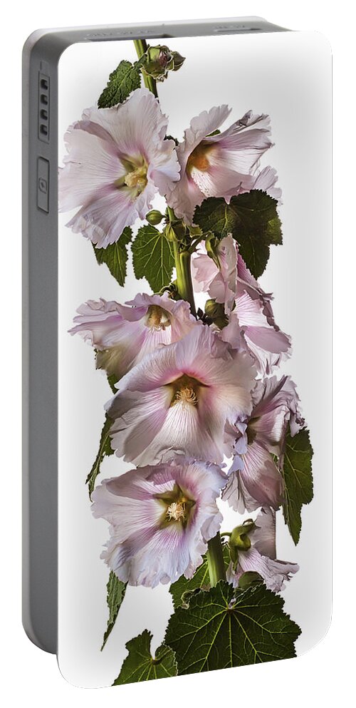Flower Portable Battery Charger featuring the photograph Hollyhock by Endre Balogh