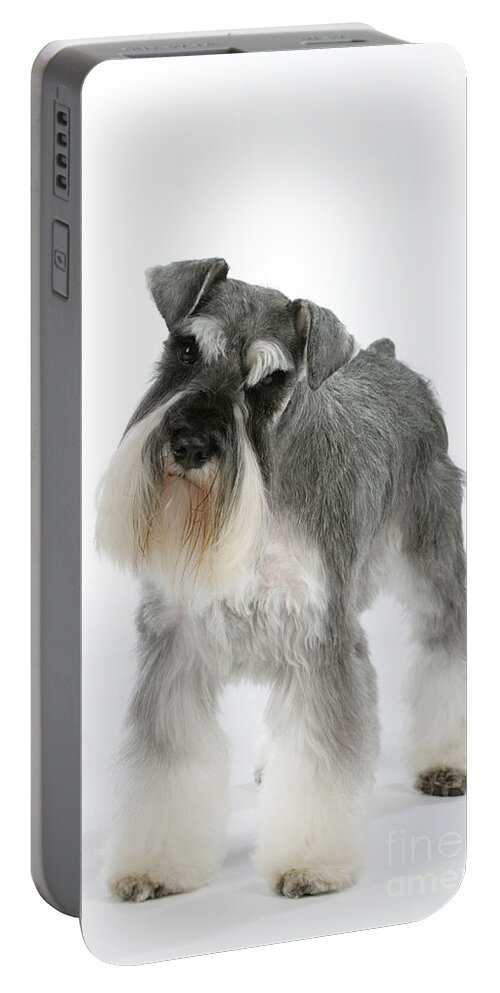 Dog Portable Battery Charger featuring the photograph Miniature Schnauzer by John Daniels