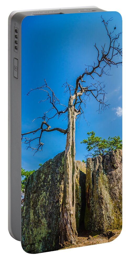Aerial Portable Battery Charger featuring the photograph Old And Ancient Dry Tree On Top Of Mountain #3 by Alex Grichenko