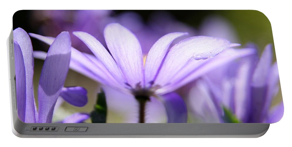 Flower Photography Portable Battery Charger featuring the photograph Purple Light by Neal Eslinger
