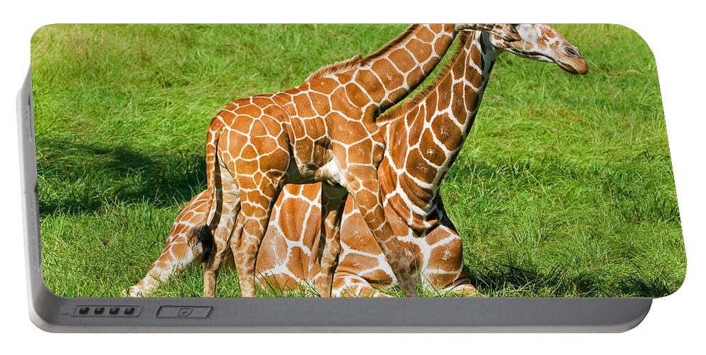 Nature Portable Battery Charger featuring the photograph Reticulated Giraffe 6 Week Old Calf #3 by Millard H. Sharp