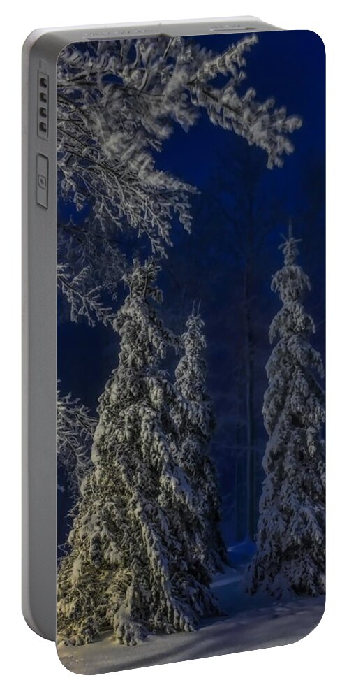 Winter Portable Battery Charger featuring the photograph Rib Mountain State Park Snow by Dale Kauzlaric