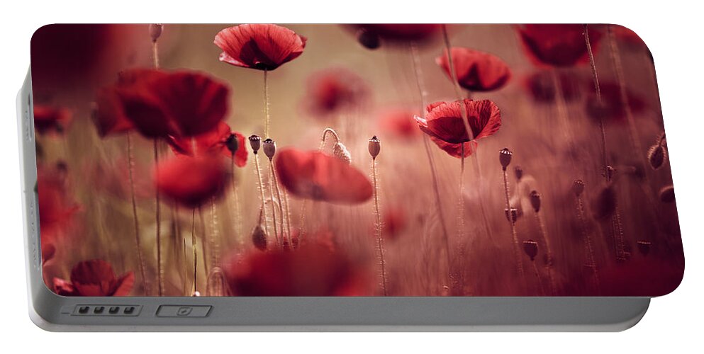Poppy Portable Battery Charger featuring the photograph Summer Poppy by Nailia Schwarz