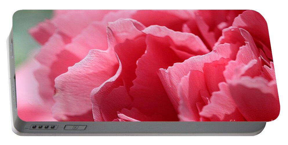 Mccombie Portable Battery Charger featuring the photograph Watermelon Pink Carnation #1 by J McCombie