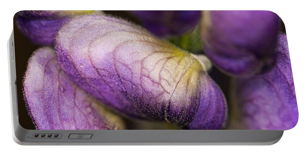 Flower Portable Battery Charger featuring the photograph Purple Wolf's bane flower buds closeup by Nick Biemans
