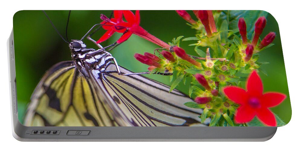 Butterfly Portable Battery Charger featuring the photograph Butterfly #30 by Rene Triay FineArt Photos
