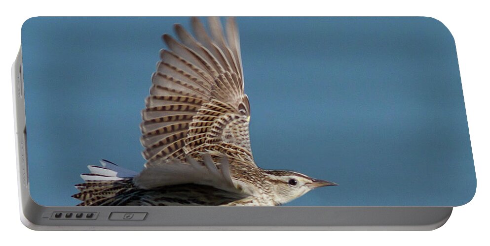 Bird Portable Battery Charger featuring the photograph Untitled #32 by Hal Beral