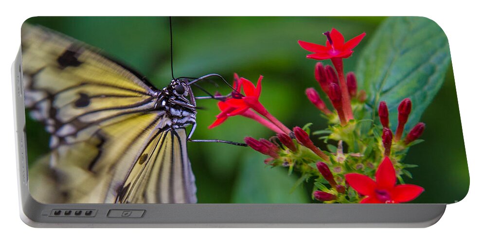 Butterfly Portable Battery Charger featuring the photograph Butterfly #7 by Rene Triay FineArt Photos