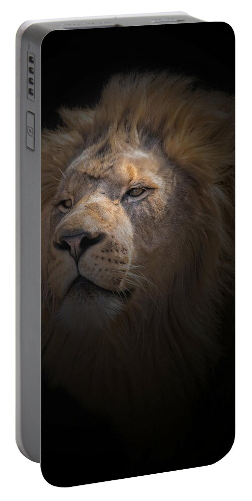 Africa Portable Battery Charger featuring the photograph African Lion #4 by Peter Lakomy