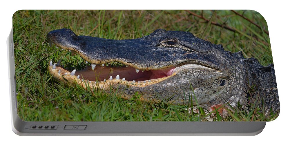 Alligator Portable Battery Charger featuring the photograph 4- Alligator by Joseph Keane
