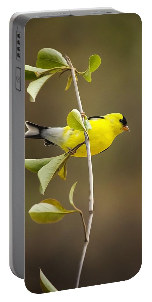Goldfinch Portable Battery Charger featuring the painting American Goldfinch by Christina Rollo