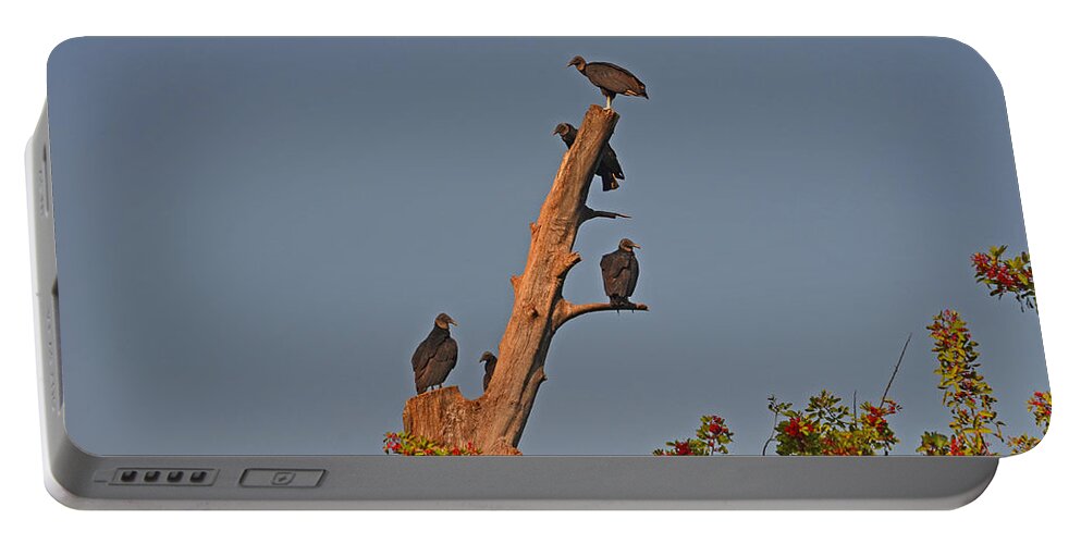  Portable Battery Charger featuring the photograph 4- Black Vultures by Joseph Keane
