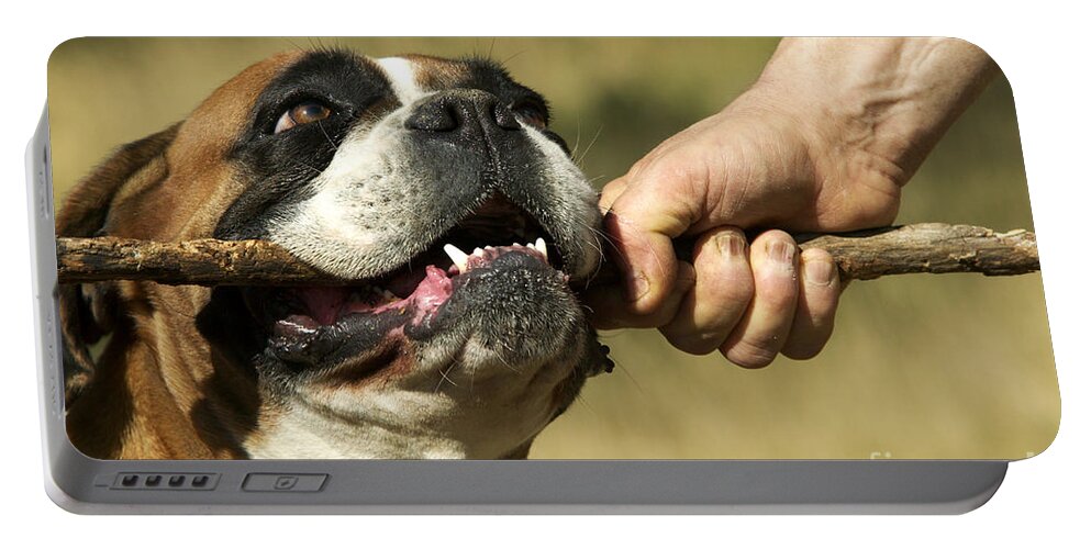 Boxer Portable Battery Charger featuring the photograph Boxer Dog #4 by Jean-Michel Labat