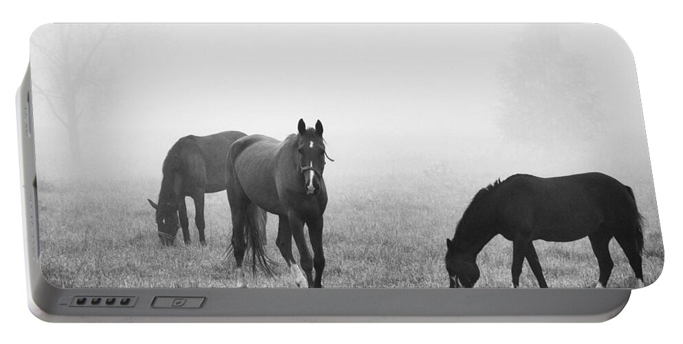 Finland Portable Battery Charger featuring the photograph Horses of the Fall trio bw by Jouko Lehto