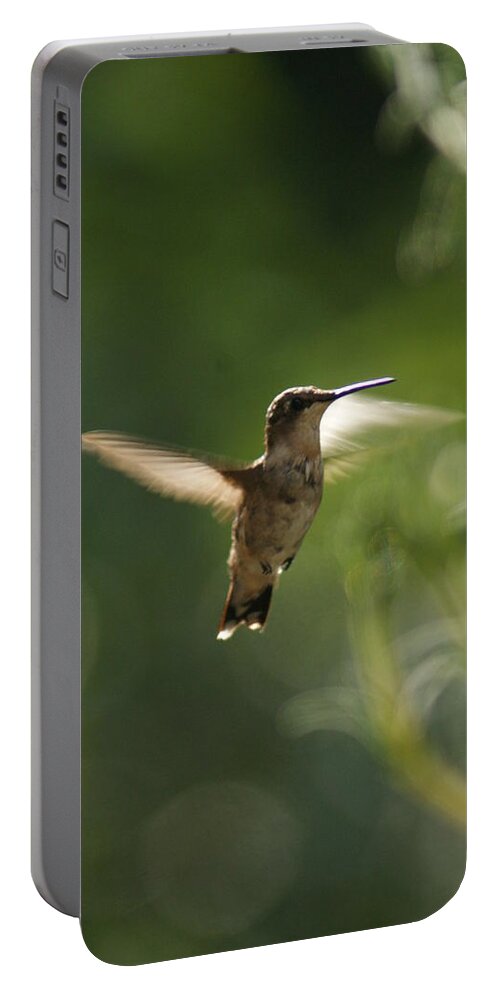Tiny Bird Portable Battery Charger featuring the photograph Hummer #3 by Heidi Poulin