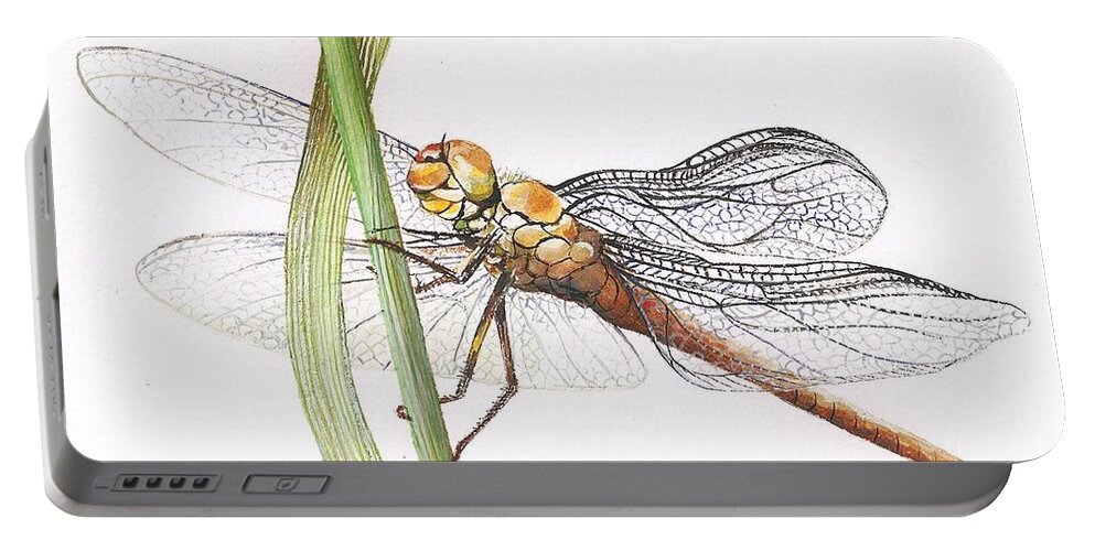 Dragonfly Portable Battery Charger featuring the painting Sheer Wings / sold #3 by Barbara Anna Cichocka