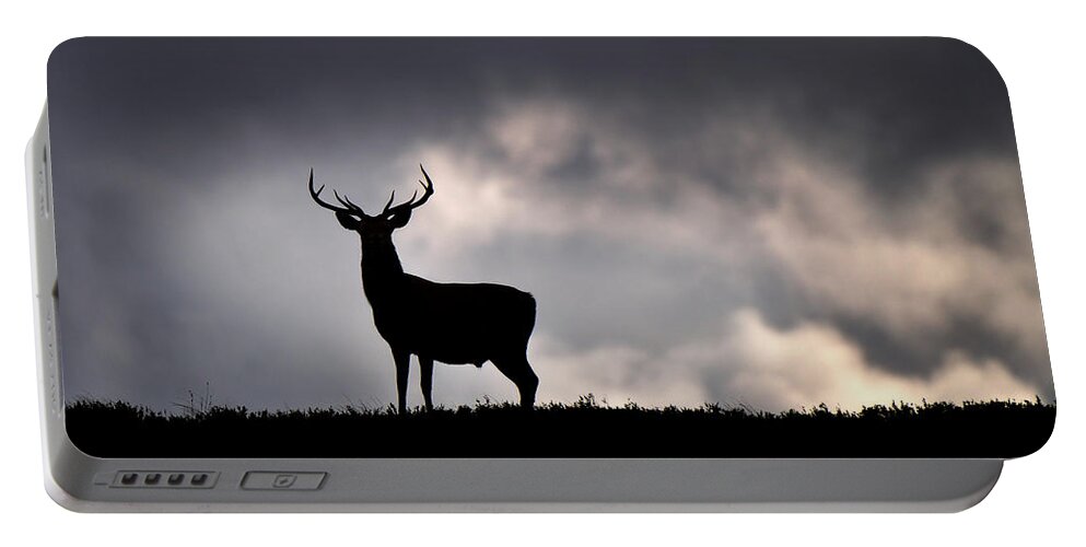 Stag Silhouette Portable Battery Charger featuring the photograph Stag Silhouette #4 by Gavin Macrae