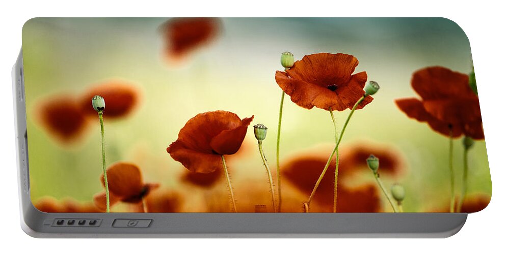 Poppy Portable Battery Charger featuring the photograph Summer Poppy by Nailia Schwarz