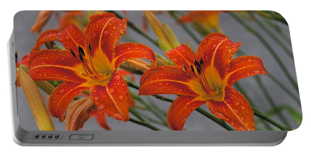 Day Lilly Portable Battery Charger featuring the photograph Day Lilly by William Norton