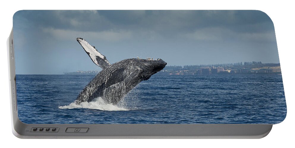 Feb0514 Portable Battery Charger featuring the photograph Humpback Whale Breaching Maui Hawaii #5 by Flip Nicklin