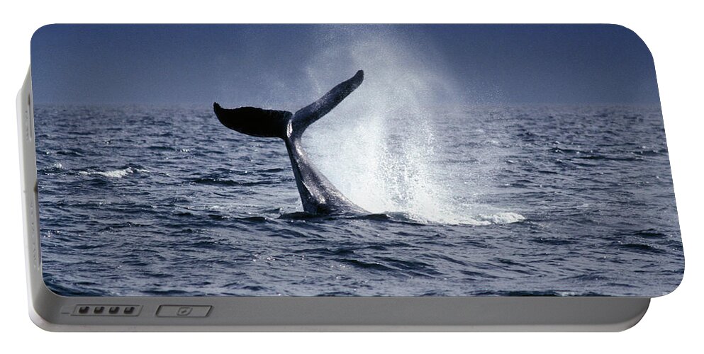 Animal Portable Battery Charger featuring the photograph Humpback Whale Fluke #5 by Ron Sanford