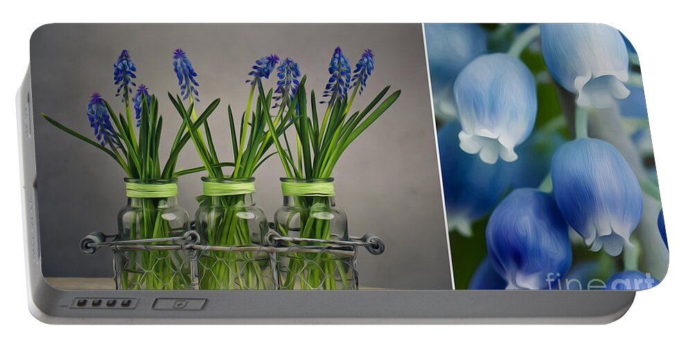 Hyacinth Portable Battery Charger featuring the photograph Hyacinth Still Life by Nailia Schwarz