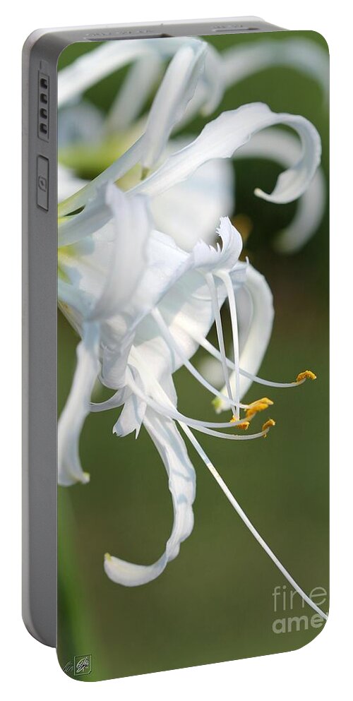 Mccombie Portable Battery Charger featuring the photograph Peruvian Daffodil named Advance #5 by J McCombie