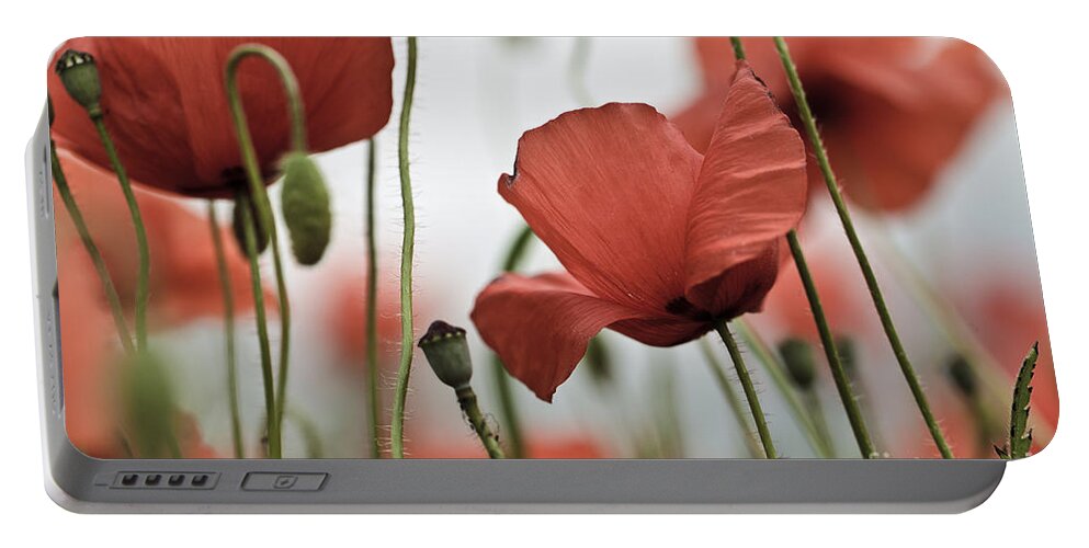 Poppy Portable Battery Charger featuring the photograph Red Poppy Flowers #5 by Nailia Schwarz