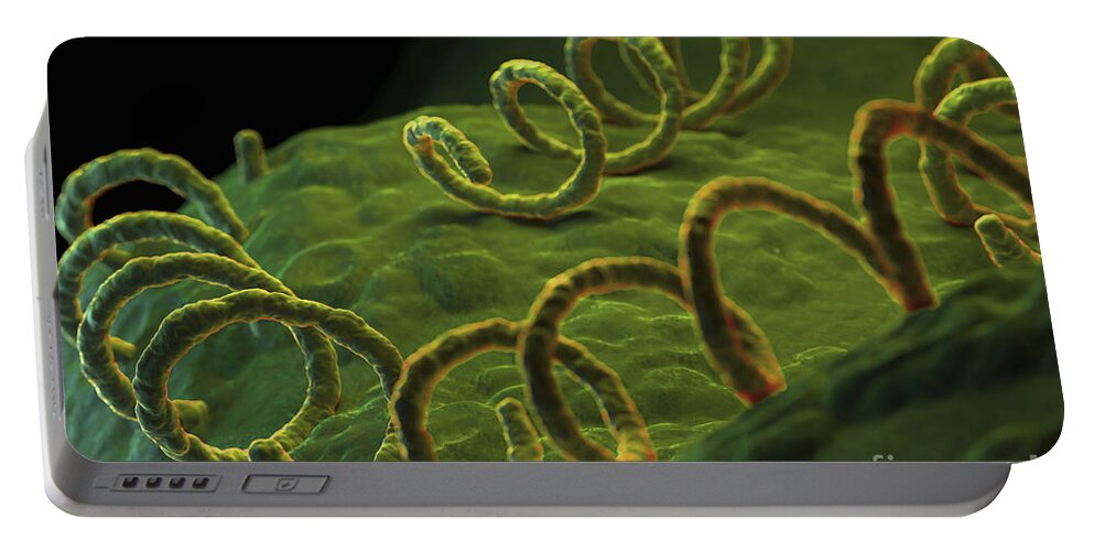 Cells Portable Battery Charger featuring the photograph Syphilis #5 by Science Picture Co