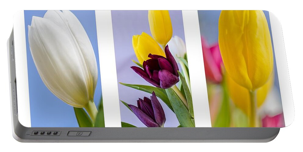 Nature Portable Battery Charger featuring the photograph Tulips #5 by Paulo Goncalves