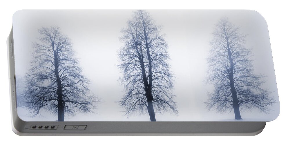 Trees Portable Battery Charger featuring the photograph Winter trees in fog 5 by Elena Elisseeva
