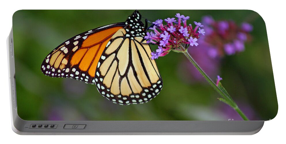 Monarch Portable Battery Charger featuring the photograph Monarch Butterfly in Garden #2 by Karen Adams