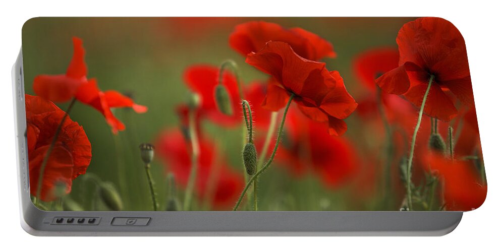 Poppy Portable Battery Charger featuring the photograph Red #6 by Nailia Schwarz