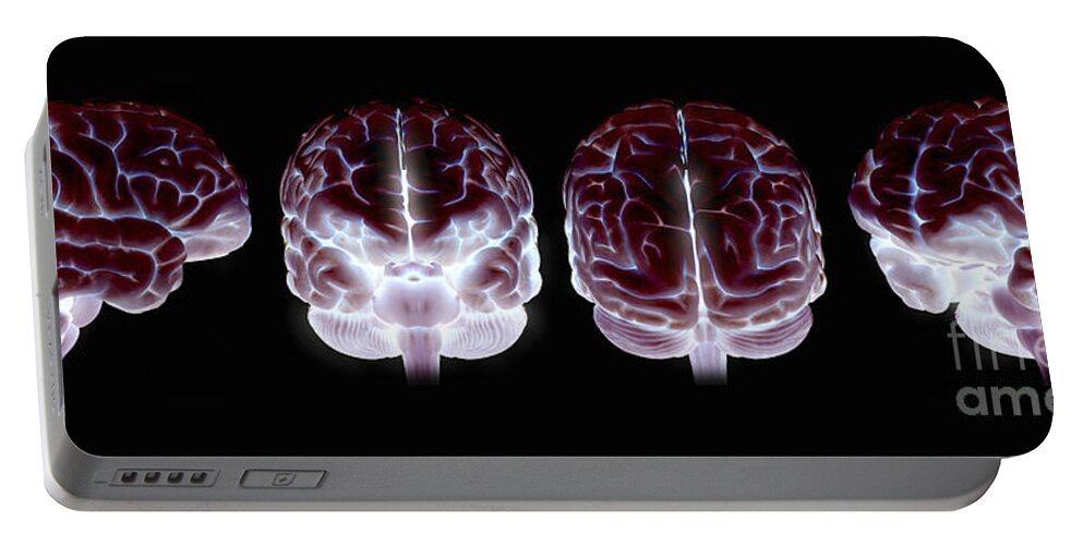 Temporal Lobe Portable Battery Charger featuring the photograph The Human Brain #6 by Science Picture Co