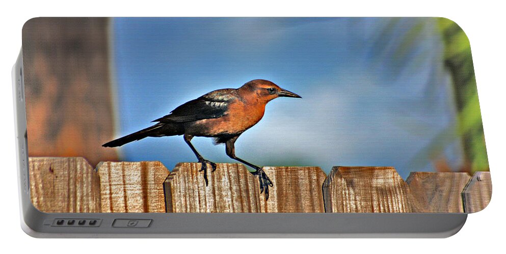 Grackle Portable Battery Charger featuring the photograph 63- Grackle by Joseph Keane