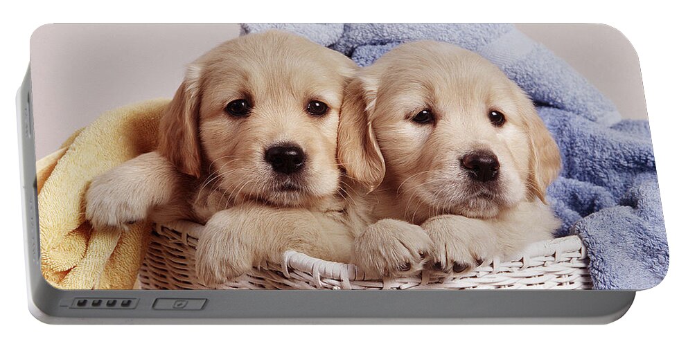 Dog Portable Battery Charger featuring the photograph Golden Retriever Puppies #7 by John Daniels