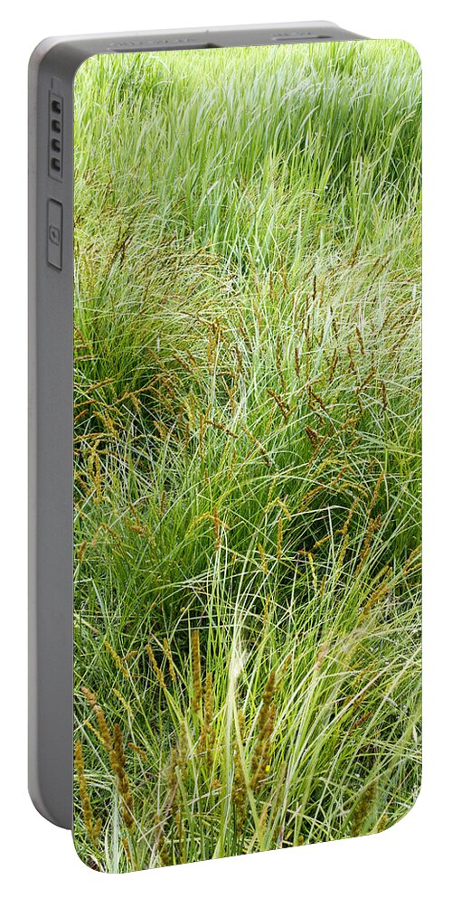 Vertical Portable Battery Charger featuring the photograph Grasses #7 by Les Cunliffe