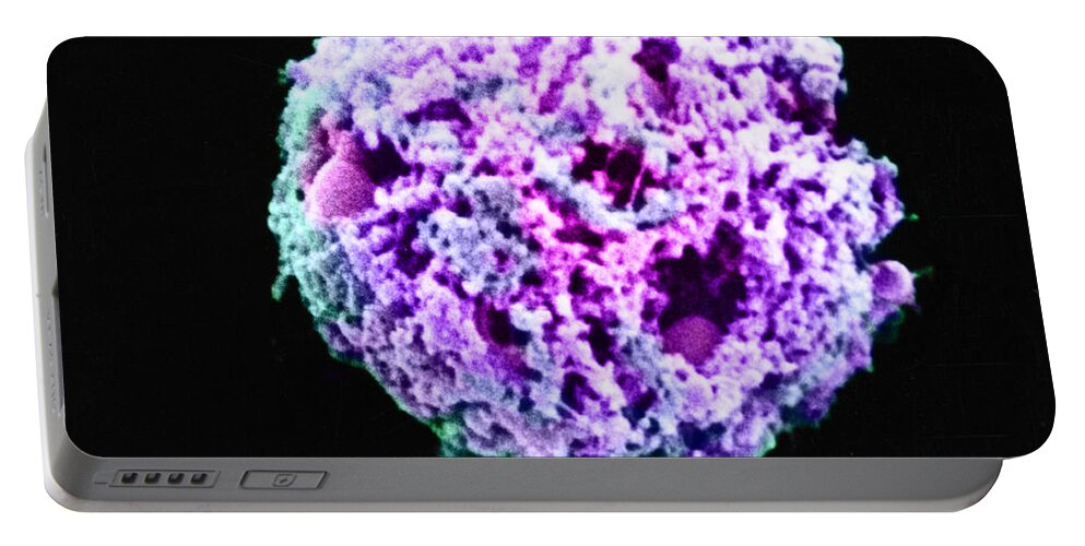 White Blood Cell Portable Battery Charger featuring the photograph Lymphocytes Undergoing Apoptosis #7 by David M. Phillips