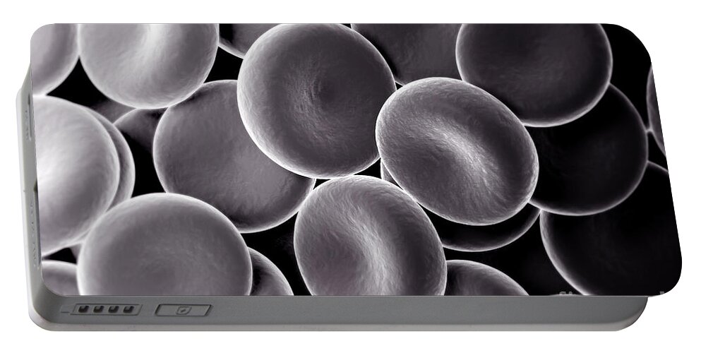 Erythrocytes Portable Battery Charger featuring the photograph Red Blood Cells #7 by Science Picture Co