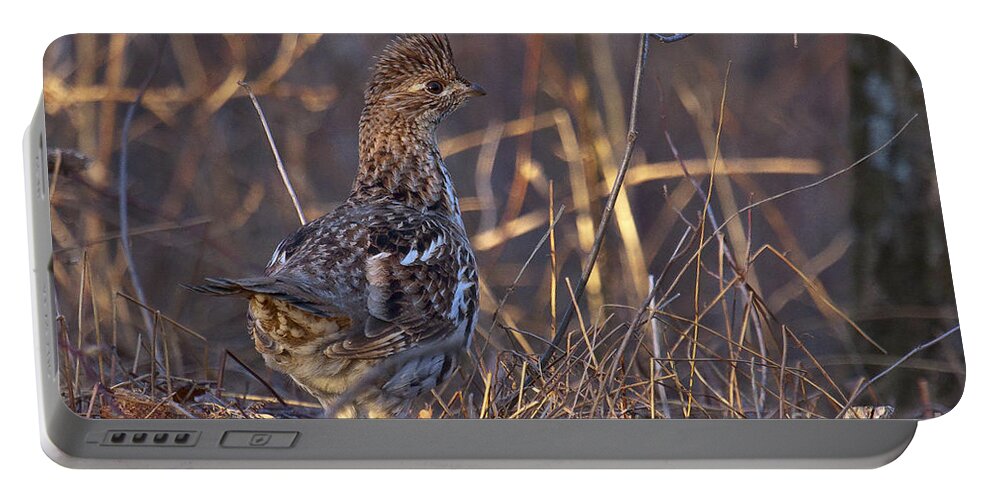 Bedford Portable Battery Charger featuring the photograph Ruffed Grouse #7 by Ronald Lutz